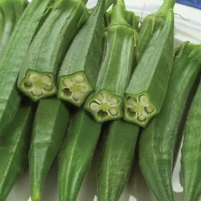 Vegetable - Okra - Super Bhindi - 50 Seed • £4.55