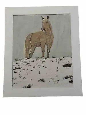 Mark Leary Art Watercolour Painting Dartmoor Pony Looking At You • £25