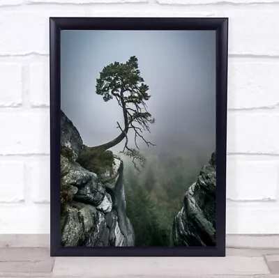 Tree Bonsai Mountain Slope Hill Bastei Saxon Switzerland Art Print • $37.29