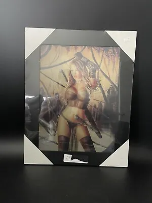 3D Framed Hologram Picture Warrior Women 3 In 1 Pictures. • £28.94