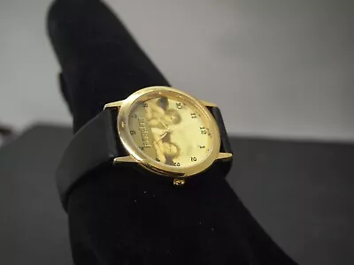 Raphael Painter  Watch • $19