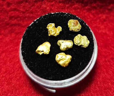 California Natural Gold Nugget 2.2 Grams Total Weight In A Gem Jar W/lid • $178