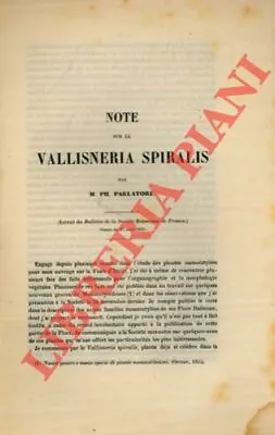 PH SPEAKER M. - Note On The Vallisneria Spiralis. • £6.85