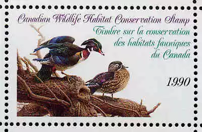 CANADA 1990 DUCK STAMP MINT IN FOLDER AS ISSUED WOOD DUCK By Michael Dumas • $15