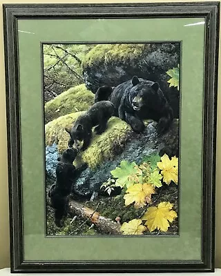 Carl Brenders NOSING AROUND Black Bears Limited Edition Framed Print • $299