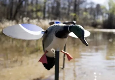 Mojo Outdoors Baby Mojo Mallard Drake Motorized Spinning Magnetic Wing Decoy  • $79.99