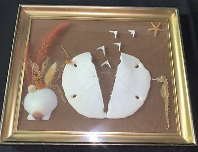 Vintage 80’s Sea Shell Art Frame Sand Dollar Seahorse Starfish 11x9” Ruth Holmes • $69.99