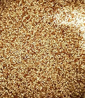 Mixed Millet Seed For Birds Budgies Finches Canaries Wild Birds 1kg • £4.95