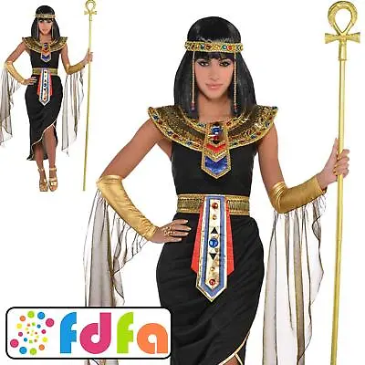 Amscan Black Cleopatra Egyptian Queen Adult Ladies Fancy Dress Costume • £31.29