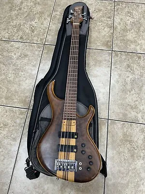Hanewinckel 5 String Bass Guitar Serial #0397 • $1500
