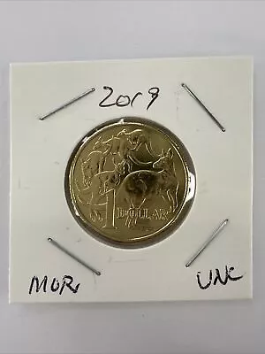 2019 AUSTRALIAN $1 ONE DOLLAR COIN - MOB OF ROOS- IRB -UNC IN 2X2 Holder • $6.95