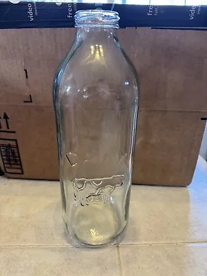 Dairy Bottle Clear Glass Milk Jar Embossed Cow 48oz - 10 3/4 Inches Tall • $10