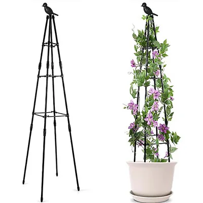 47/67in Metal Plant Trellis For Climbing Plants Outdoor Pyramid Plant Support • £8.99