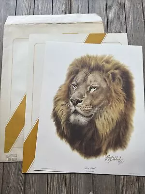 Vtg 1978 Guy Coheleach  Lion Head  Limited Edition Signed Print 16” X 20” • $209.99