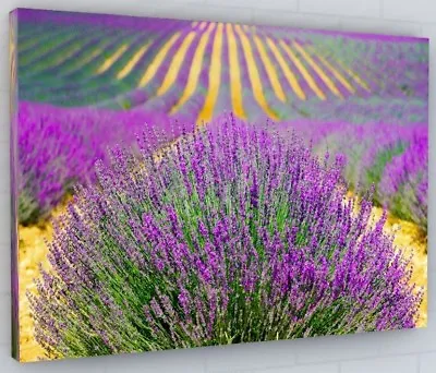 Stunning Lavender Field Flowers Canvas Picture Print Wall Art Large  • £24.19