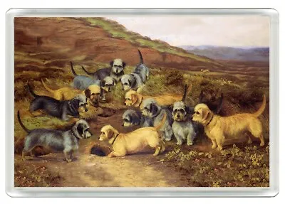 £2.99 • Buy Dandie Dinmont Terrier Dogs Group Dog Art Print Novelty Fridge Magnet Great Gift