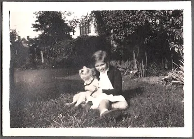 6 Vintage St Albans Long Island New York Welsh Terrier Dog Pup Canine Old Photos • $7