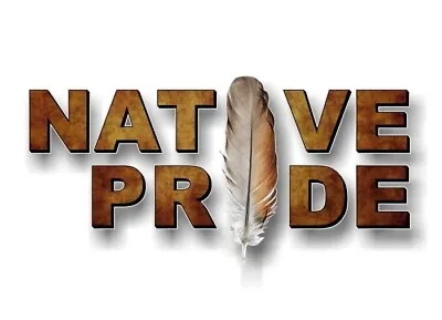 NATIVE PRIDE With Feather 9'' Vinyl Decal American Indigenous Tribal Sticker • $6.48