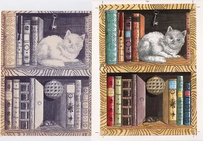 Piero Posters Cat Stoves Between Books Proof Of Photogravure 16 X 20.2 Cm • $42.57