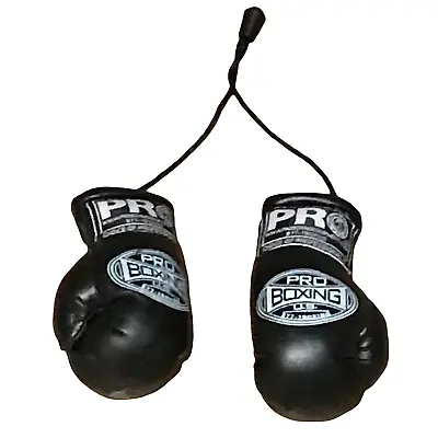 🐯3 Inches Mini Boxing Gloves 🐯Hanging Rearview Mirror Car Hanging Key Chain: • $14.97