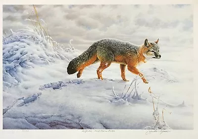 Michael Dumas  Swift Fox - Great Plains Winter  | Signed Print | Make An Offer • $149.99