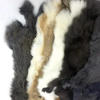 SLC Genuine Earth Tone Rabbit Pelt For Décor & Crafts Single Genuine Fur Pelt • $12.95