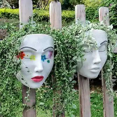 Face Head Planter Pot Wall Decor Resin Wall Mounted Planter  Garden Flowers Pots • £3