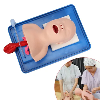 $83.67 • Buy Airway Management Trainer Intubation Manikin Lab Study Teaching Baby Model PVC