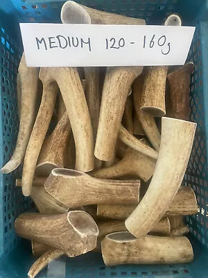£8 • Buy RED DEER ANTLER - NATURAL DOG CHEWS Medium 120g - 160g