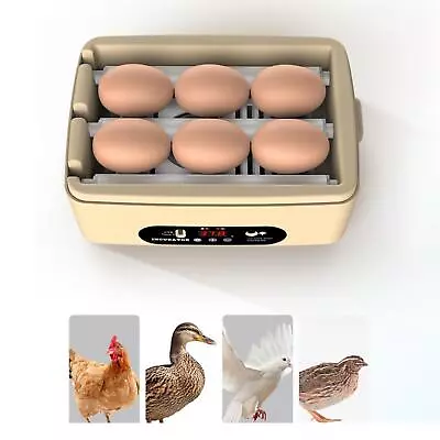 6 Egg Automatic Incubator Egg Incubator Automatic Turning Incubator • $50