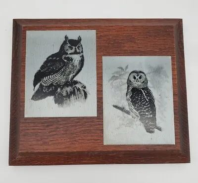£14.74 • Buy Owls Nature Etchings Metallic Art IMINAC Angleton TX Charles Beckendorf 7 X 5.5 