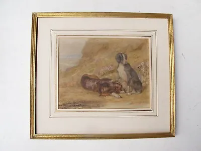Very Fine Antique Watercolour Of Two Hunting Dogs At Rest In A Landscape • £55