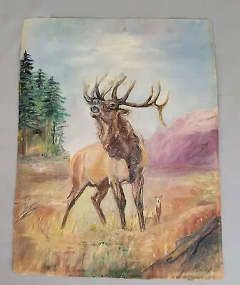 Vintage Acrylic Painting 1950s Unfinished PBN Horse Stag Other Side 12.5x16.25  • $27.95