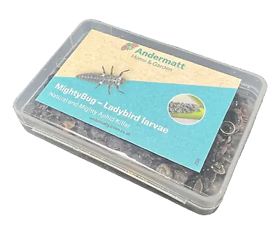 MightyBug - Ladybird Larvae Aphid Killer - Andermatt Home And Garden • £25.85