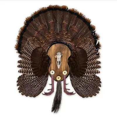 Ultimate Turkey Mounting Kit Plaque Beard Fan Universal (Model: MMR UTP) • $42.95