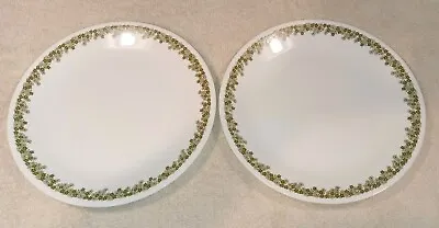 Lot Of 2 Vintage Corelle Spring Blossom Crazy Daisy 10-in Dinner Plates • $10.99