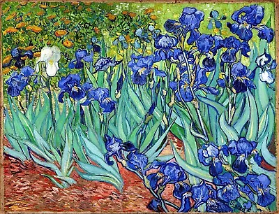 Irises Painting By Vincent Van Gogh Reproduction • $44.99