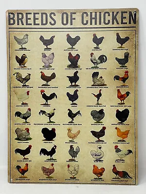 Breeds Of Chickens 16 X12  Metal Sign Wall Art/Decor • $21.95
