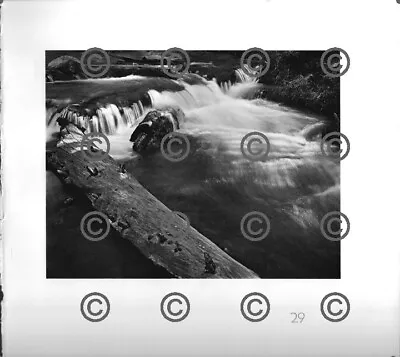 BOOK PLATE B&W Photo MORLEY BAER Logs In Coldwater Crk / Coldwater Creek 9X9.5  • $9.99