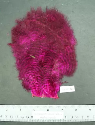 Dyed Fuschia/Pink Grizzly Hen Rump Marabou Patch Lot-SF 122 • $5.99