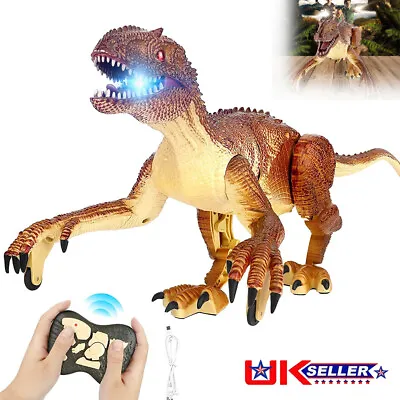 Kids 2.4G RC Dinosaur Toys Big Walking Realistic Velociraptor Dinosaur Robot Toy • £14.90