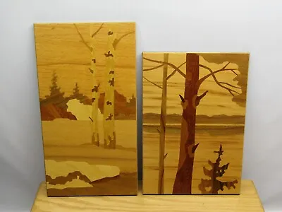 VTG RUSSIAN WOOD INLAY LANDSCAPE PICTURES ~ Marquetry ~ Set Of 2 ~ Trees Woods • $49.99