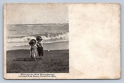 J88/ Vermilion Ohio Postcard C1910 Wild Waves Children Linwood Park 67 • $11.50