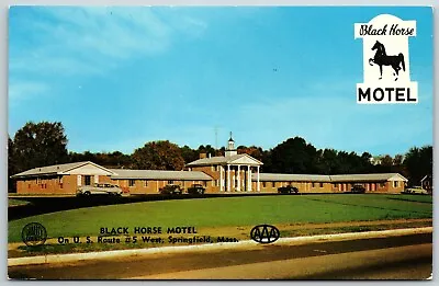 Black Horse Motel West Springfield Massachusetts - Postcard • $4.98