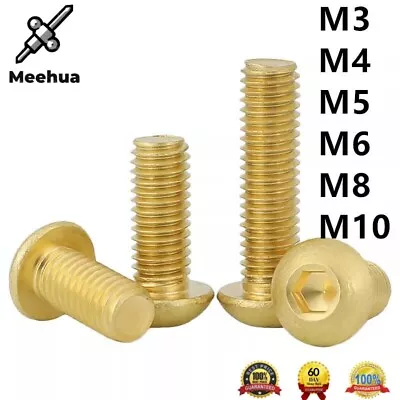 M3 M4 M5 M6 M8 M10 Allen Hex Socket Button Head Screws Brass Hexagon Bolts • $19.79