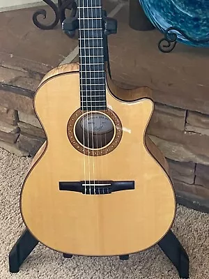 Taylor Acoustic Custom Nylon String With Fishman Pickup • $1750