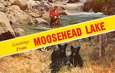 MOOSEHEAD LAKE Maine Greetings Bears Fisherman C1950s Vintage Postcard • $9.99