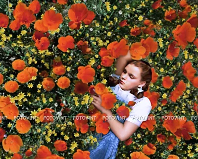 The Wizard Of Oz DOROTHY Poppies Photo Picture JUDY GARLAND 8x10 11x14 16x20 W15 • $4.95