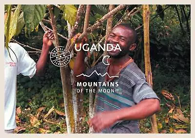 Uganda MotM Organic Cacao Cocoa Beans • £15