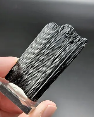 Black Tourmaline Crystal Ex. Dave Waisman - Delmo Lake Jefferson Co. Montana • $100